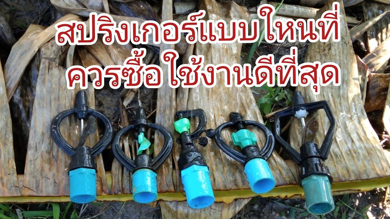 ก่อนซื้อสปริงเกอร์ควรเลือกซื้อ สปริงเกอร์แบบไหนดีที่สุด บ่าวยุทวิถีบ้านบ้าน