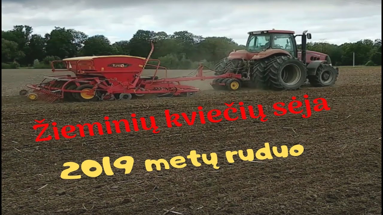 Žieminių kviečių sėja/Vaderstad Rapid XL400