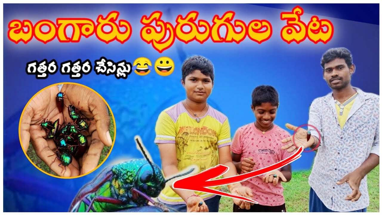 బంగారు పురుగులు పట్టపోతే Vlog||jeerangi/village vlogs|Telugu vlogs|Bangarupurugu || Jstarjc Vlogs