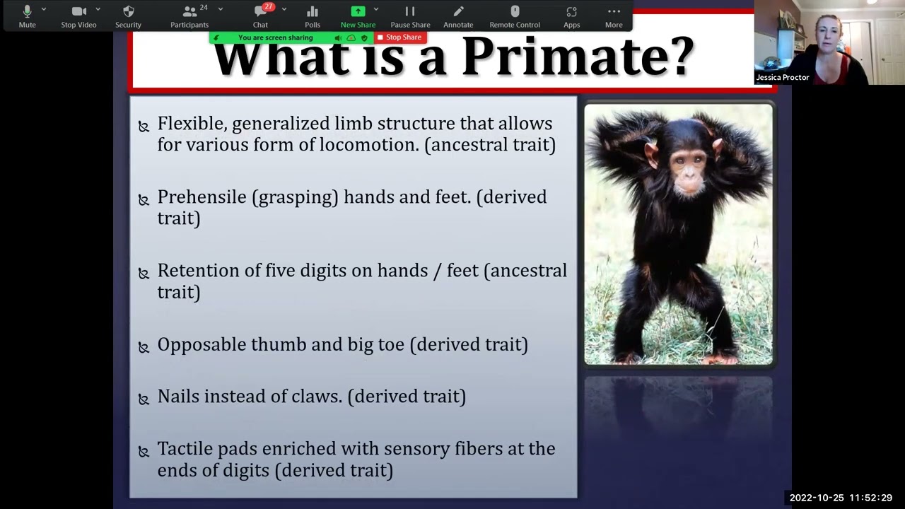 Primate Classification & Taxonomy Audio & Visual Lecture