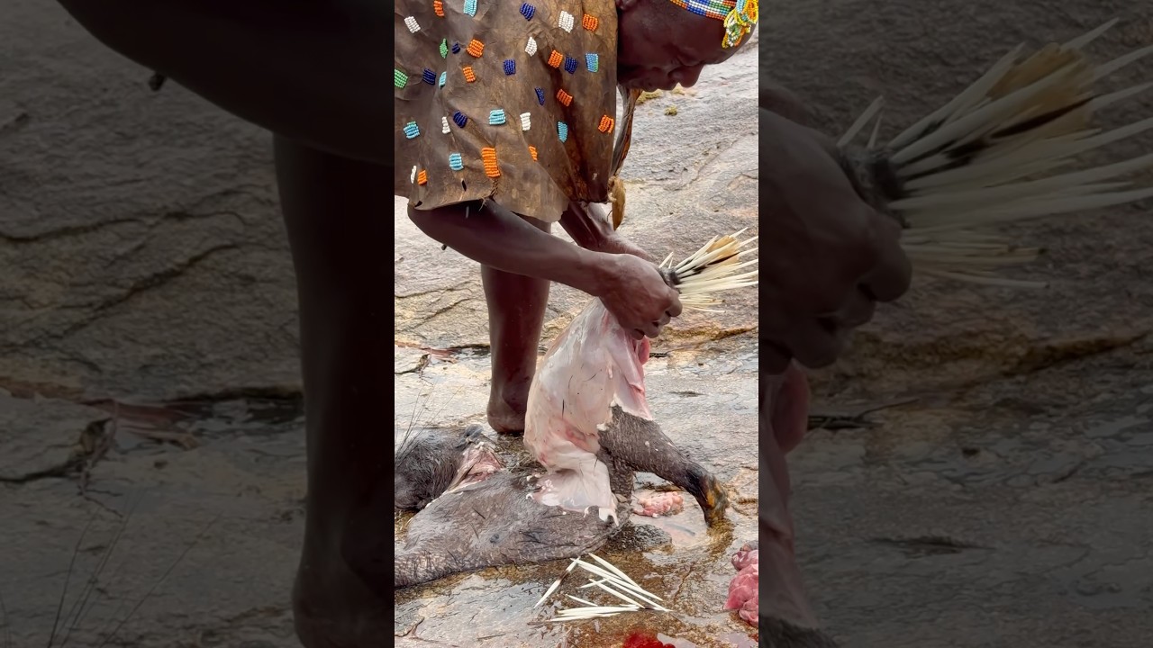 Hadzabe successfully hunt a Porcupine and cooking delicious food #hadzabetribe #africantribe