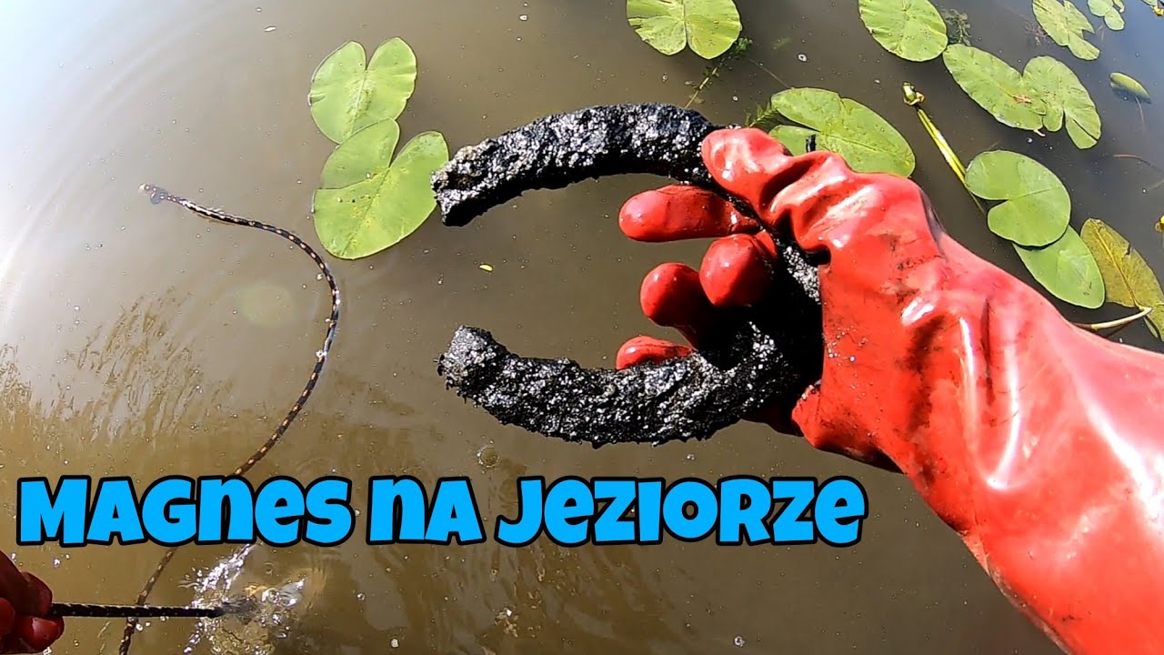 Magnes Neodymowy łowi na wakacjach 211