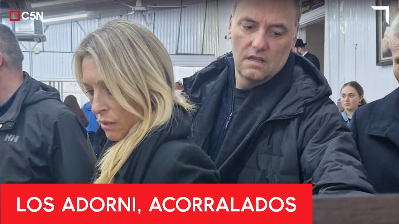 La Justicia levant&oacute; el SECRETO FISCAL y bancario de ADORNI y su esposa por el esc&aacute;ndalo