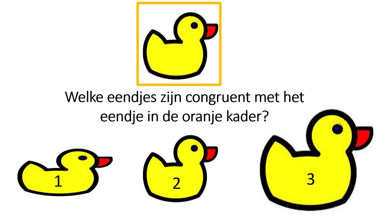 Wiskunde: congruente figuren