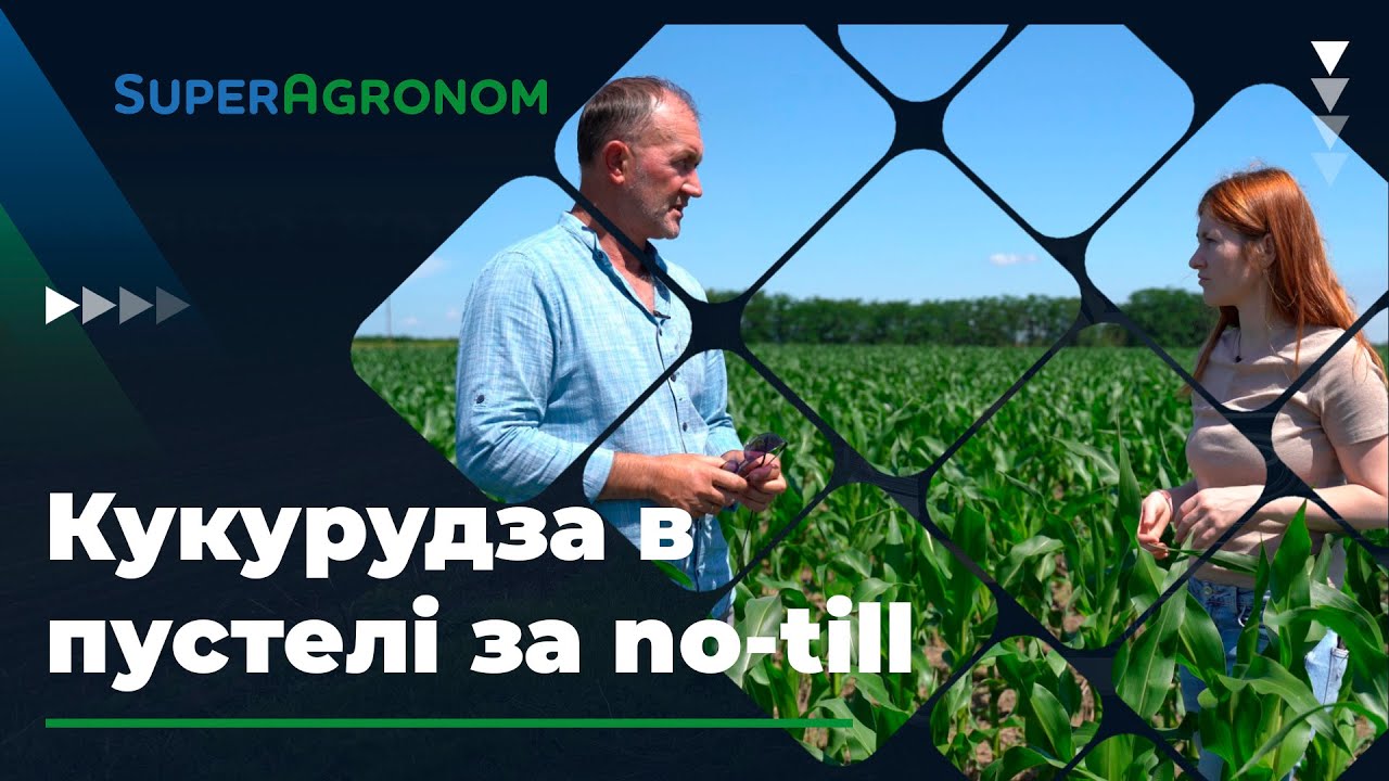 Кукурудза за no-till у зоні ризикованого землеробства/ СуперАгроном