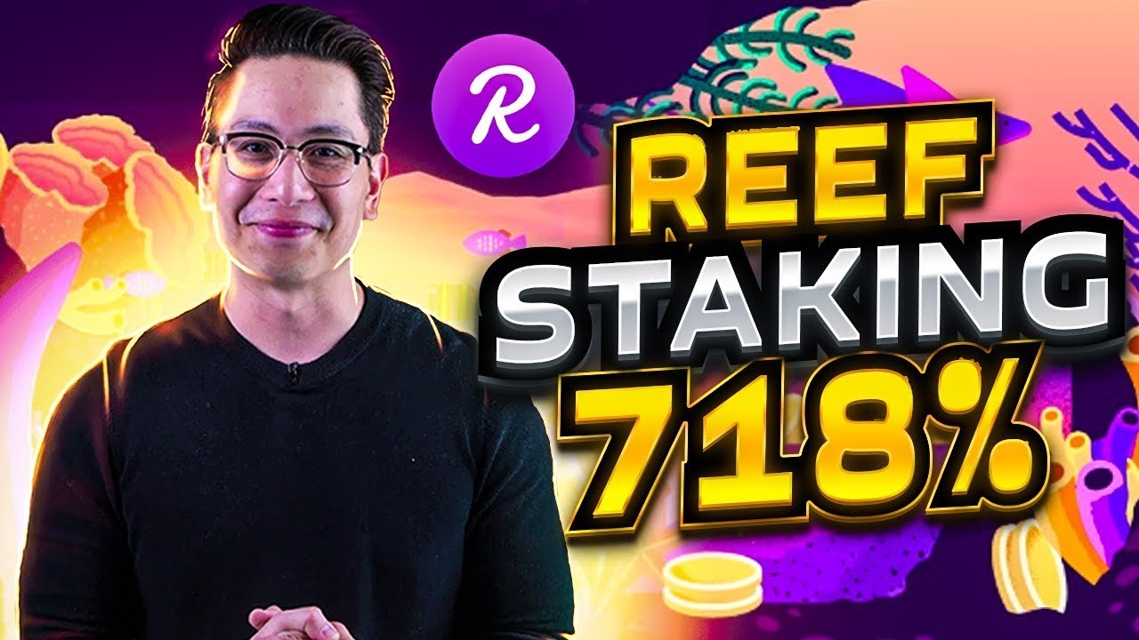 This is the most profitable REEF coin STAKING ever 🚀 stake reef
