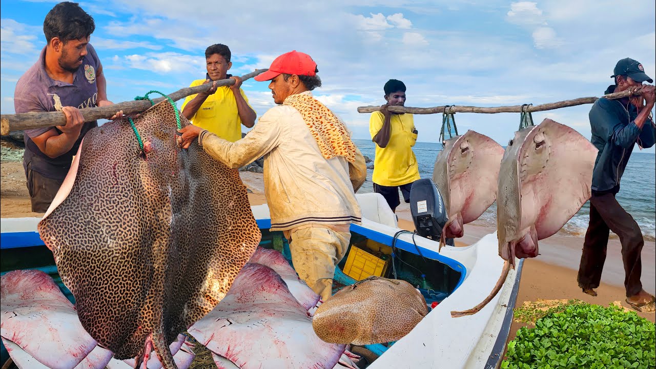 Wow!! Beautiful Nature Village's Quality Fish Market in Amazing Sri Lanka