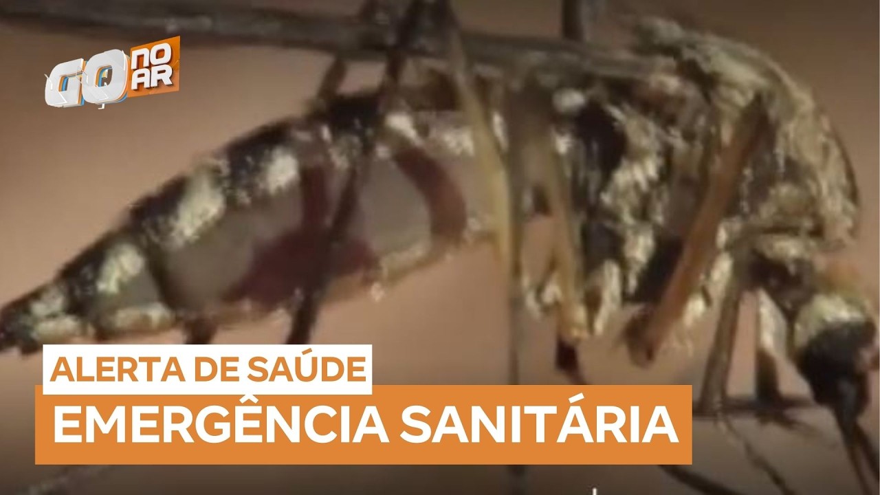 Avanço da chikungunya coloca Goiás em estado de calamidade