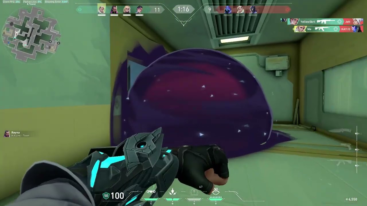 Stay here