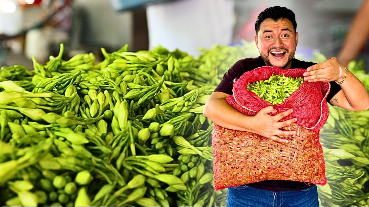 LOS MEJORES CULTIVOS DE LOROCO de todo EL SALVADOR | Para las Pupusas