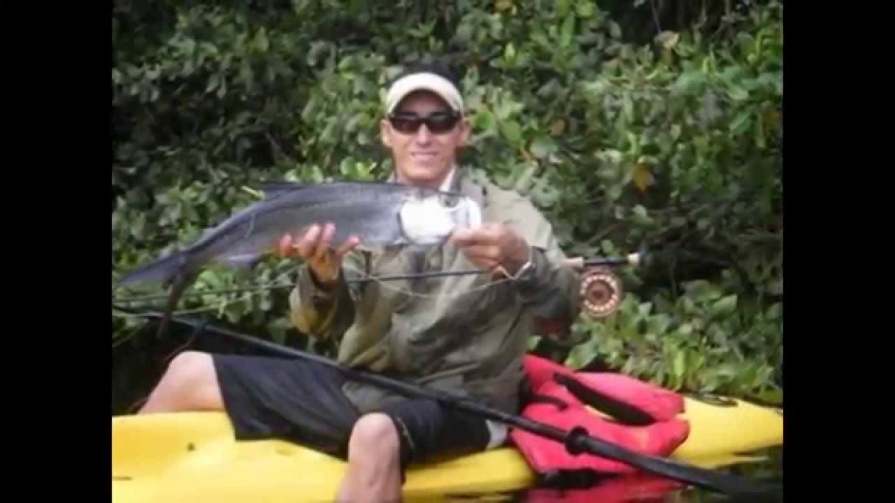 Fishing in Tarpon in Boqueron bay Puerto Rico
