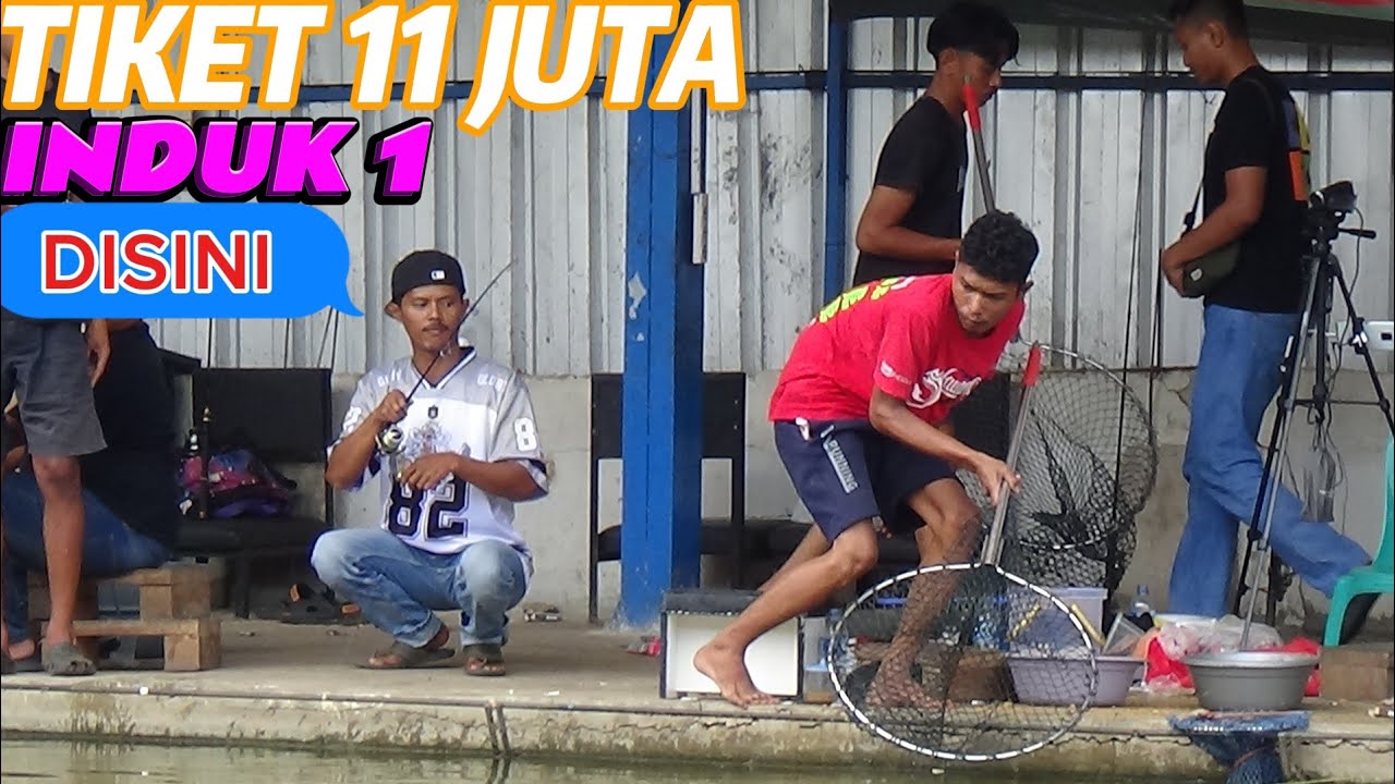 TIKET 11 JUTA INDUK 1 DIKUASAI CEP GUGUN..!! TELAGA SHE ABANG
