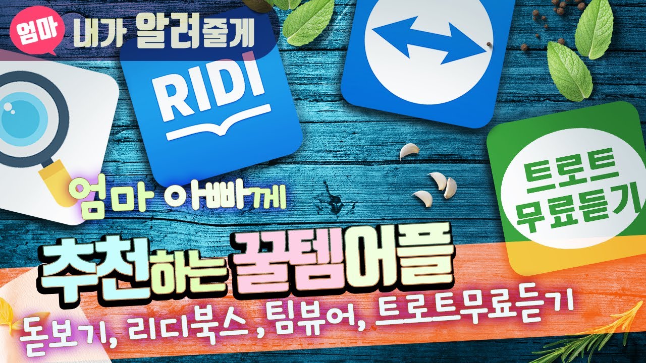부모님께 추천하고싶은 스마트폰 앱(어플) 4가지 - 돋보기 / 리디북스 / 팀뷰어 / 트로트 무료듣기. 팀뷰어 사용방법