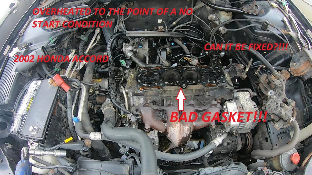 honda accord 2.3 head gasket replacement
