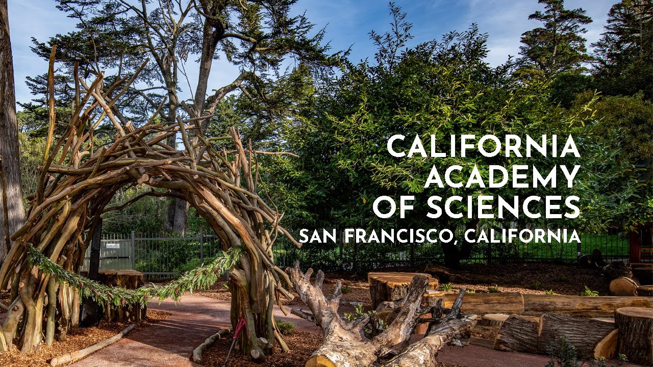 California Academy of Sciences - Bienenstock Natural Playgrounds