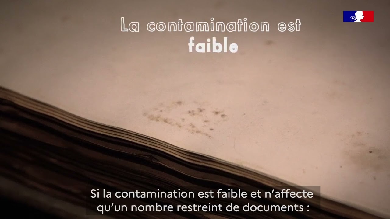 La conservation des collections patrimoniales – Les moisissures - épisode 2/3