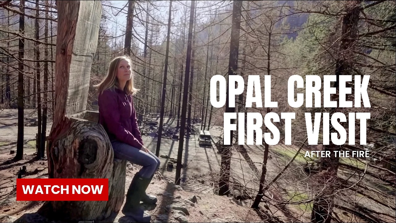 Opal Creek Flyover- After the Fire