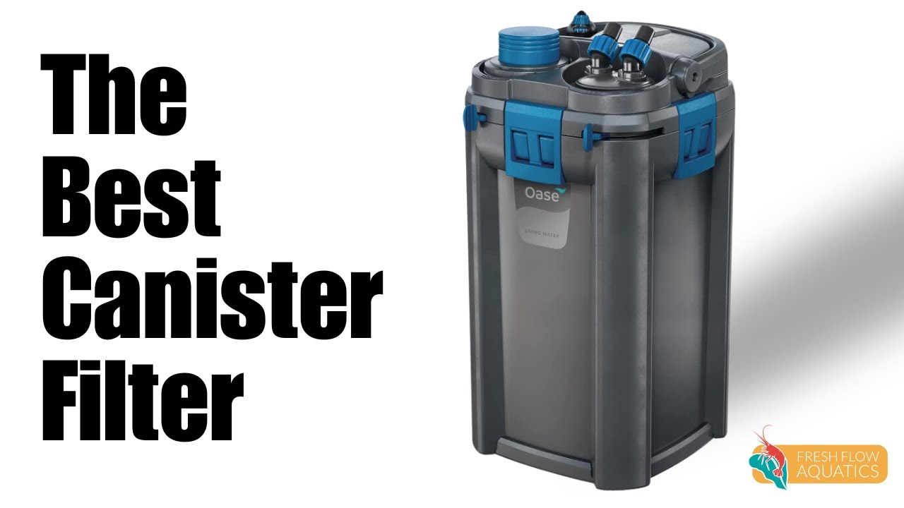 Oase Biomaster Thermo - Easily the best canister filter