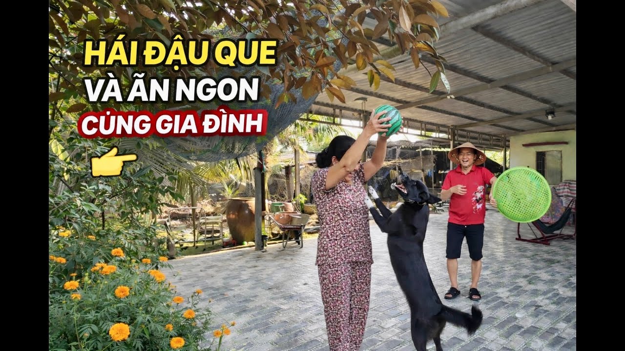 Bà 9 Vlog Ra Vườn Hái Đậu Que Nấu Bữa Cơm Quê Dân Dã Mà Ngon Khó Cưỡng