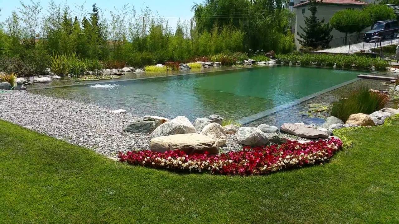 Natural swimming Pond By Ekosistem Göletleri Ltd.