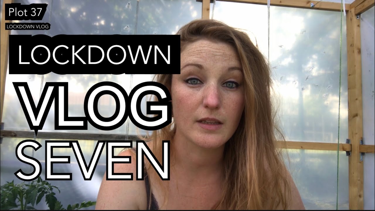 LOCKDOWN ALLOTMENT VLOG SEVEN