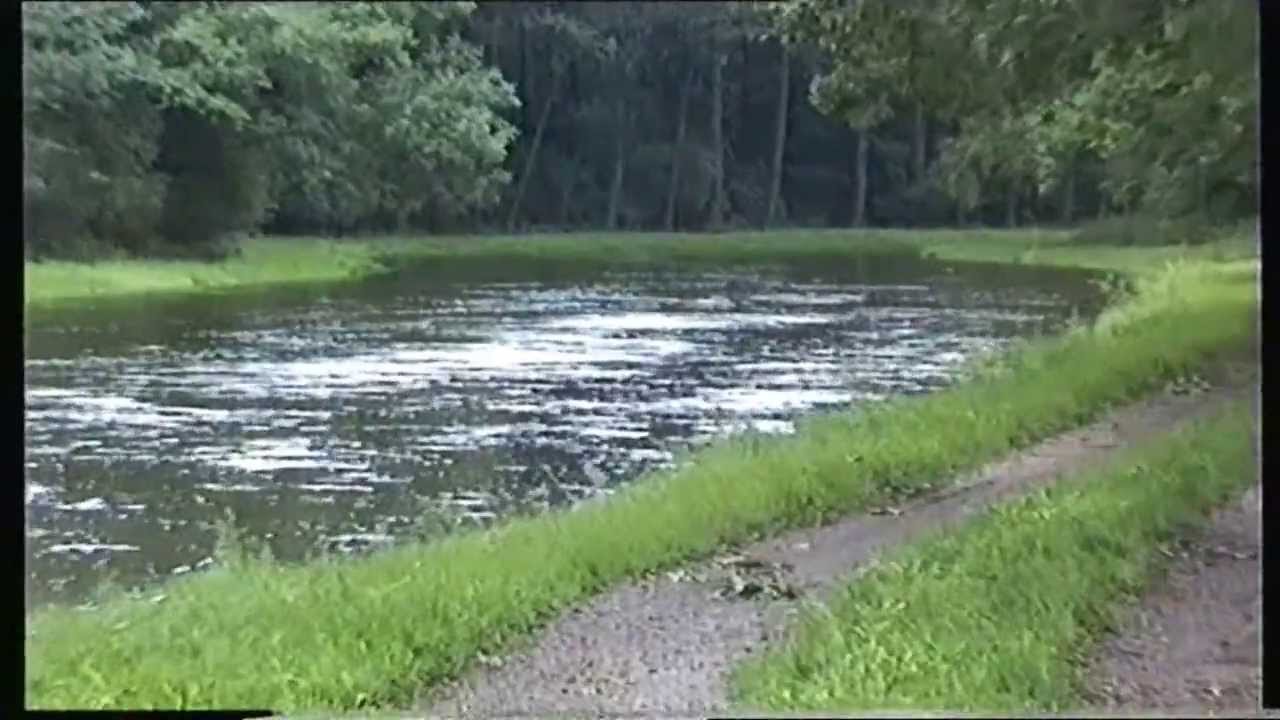 Hochwasser 2002 -Röderaue- Elbe
