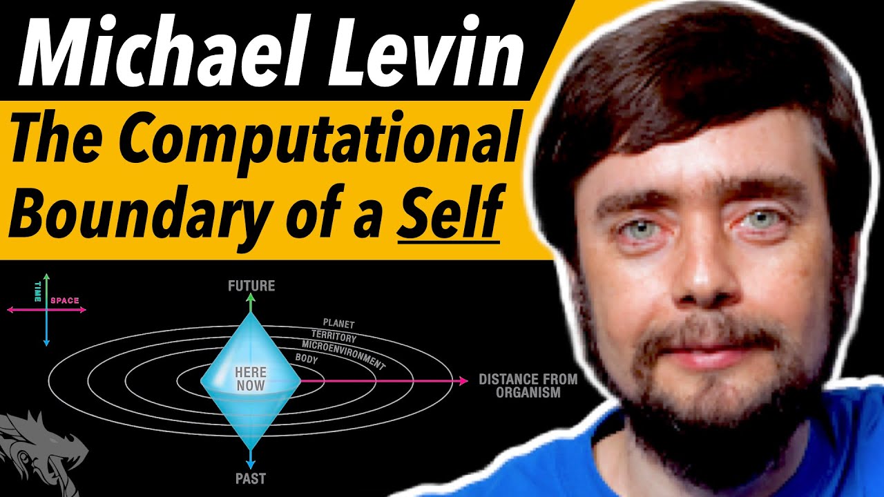 What are Cognitive Light Cones? (Michael Levin Interview)