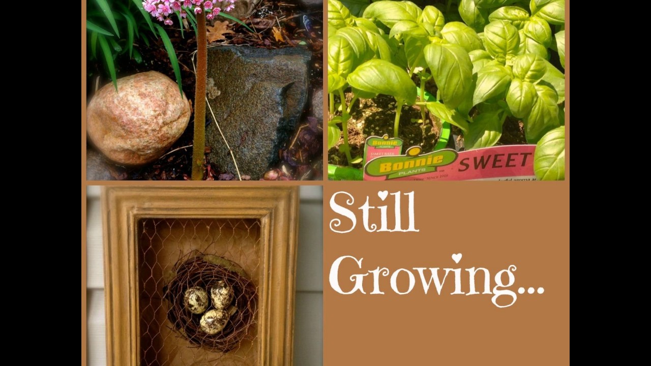 SG577: Day One of the 2017 Garden Bloggers Fling