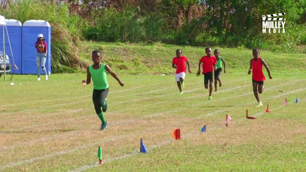 Newton Ground Primary School Sports Day 2024 Highlights