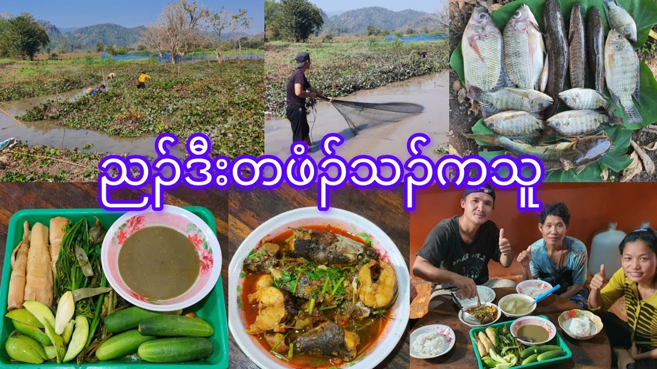 Spicy fish curry 