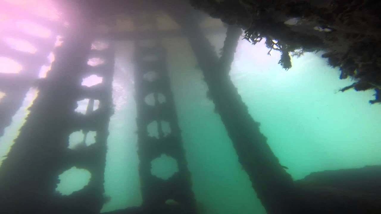 Inmersión de buceo en Barcelona: FECSA
