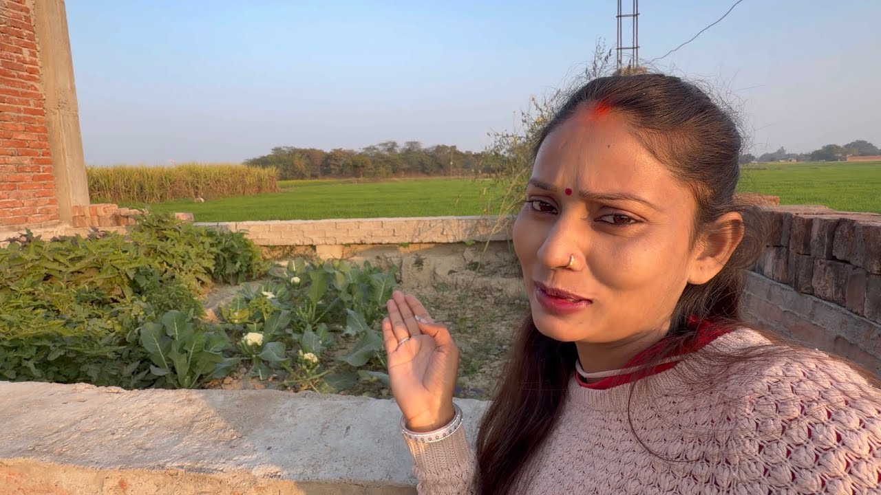 Gaon ke khet me hari sabzi #vlog #vlogs #pregnant #pregnancy #funny 