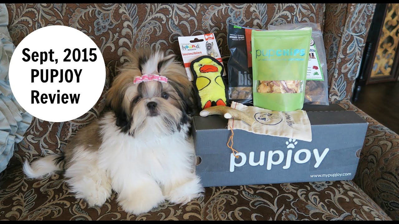 PUPJOY Review Sept 2015