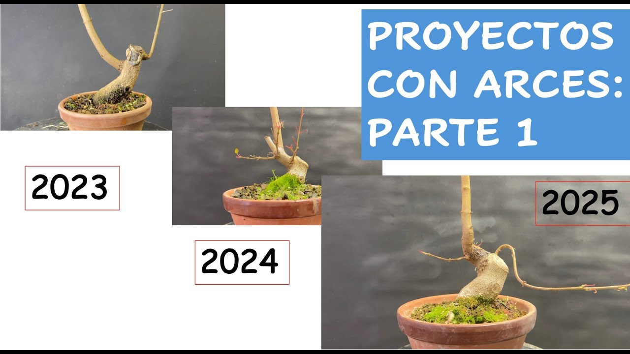 PROYECTO CON ARCES: PARTE 1