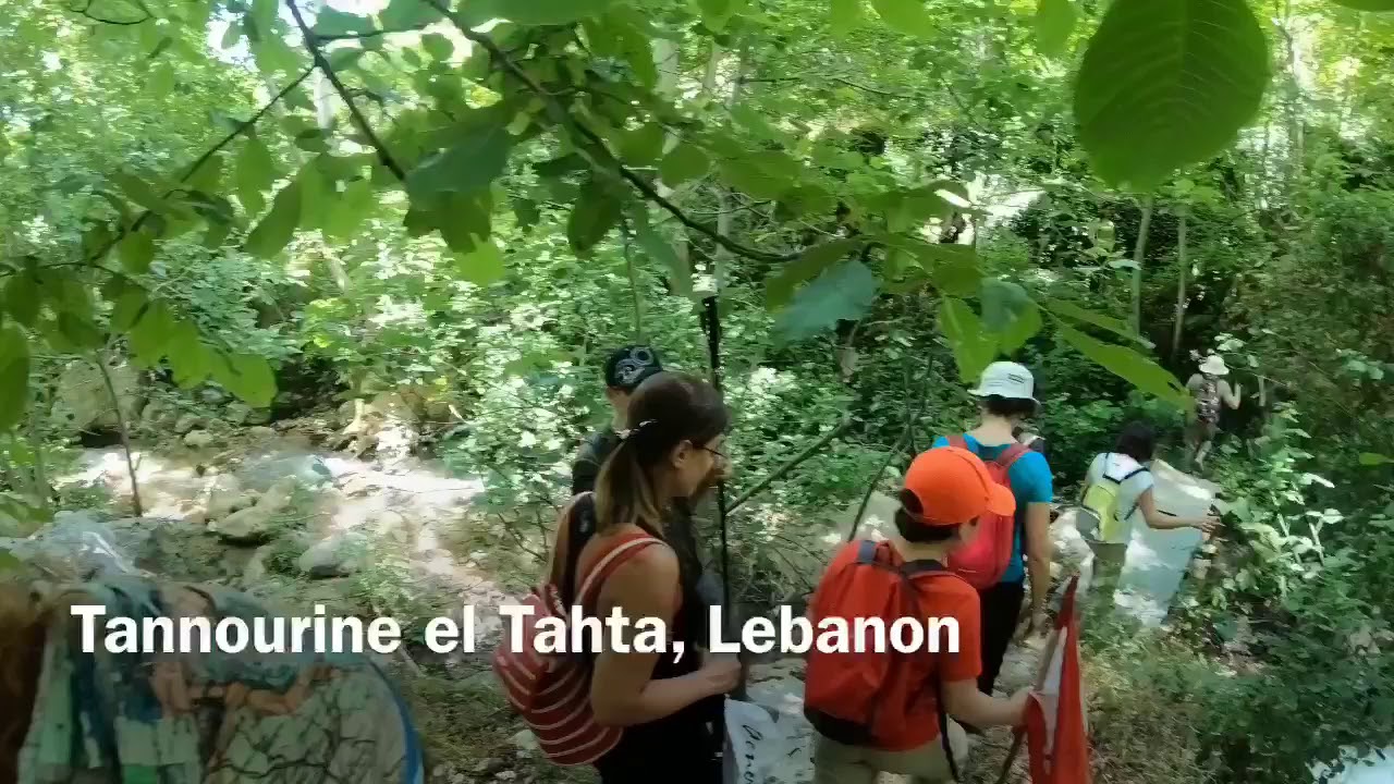 تنورين لبنان /Lebanon- Tannourine