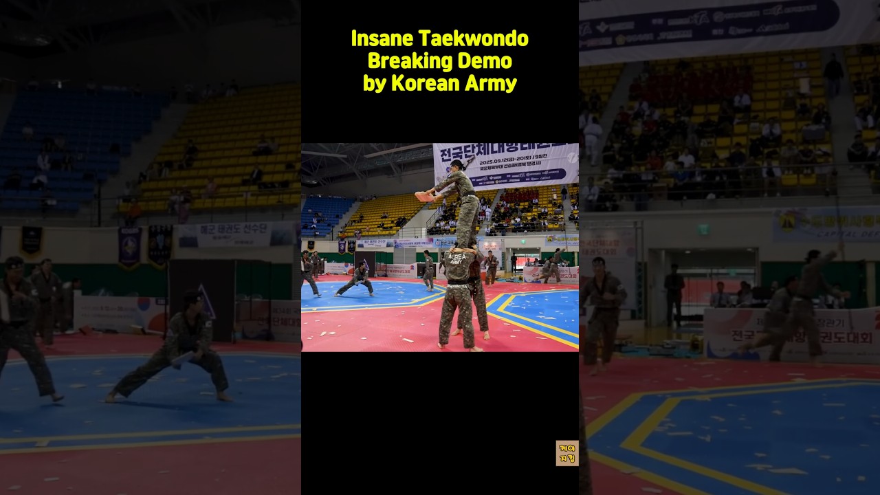Insane Taekwondo Breaking Demo by Korean Army