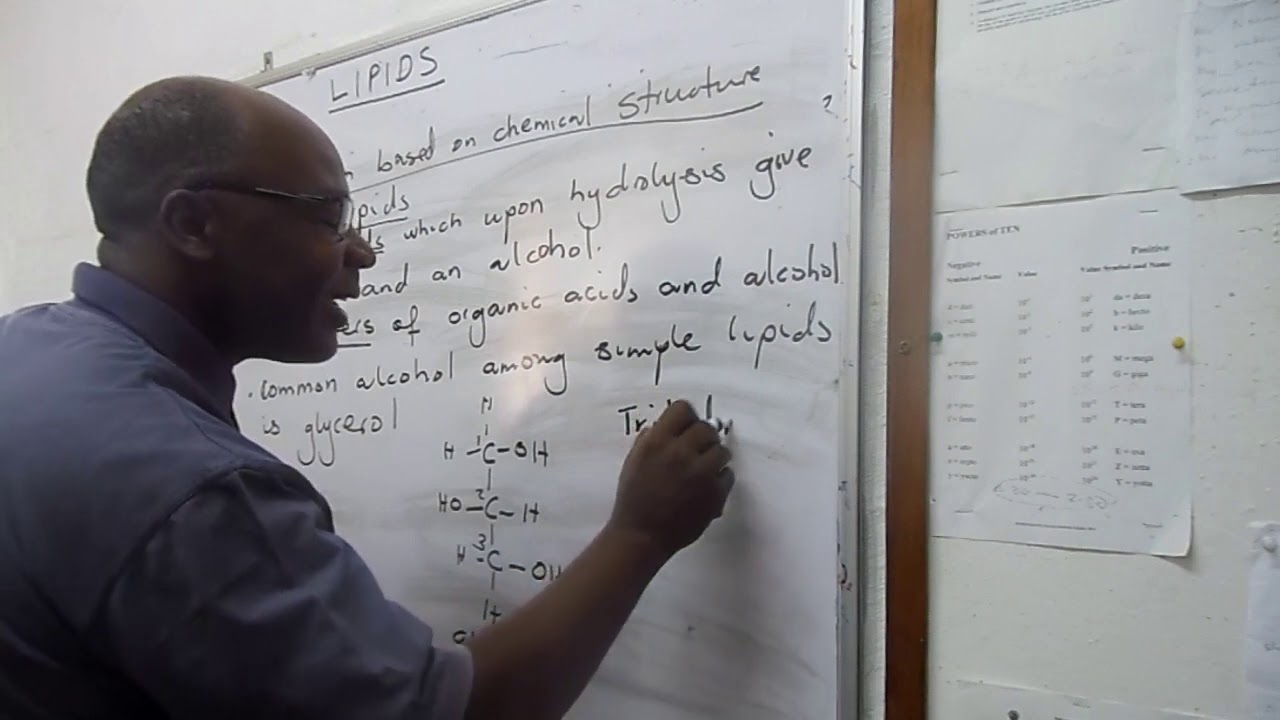 LIPIDS 1
