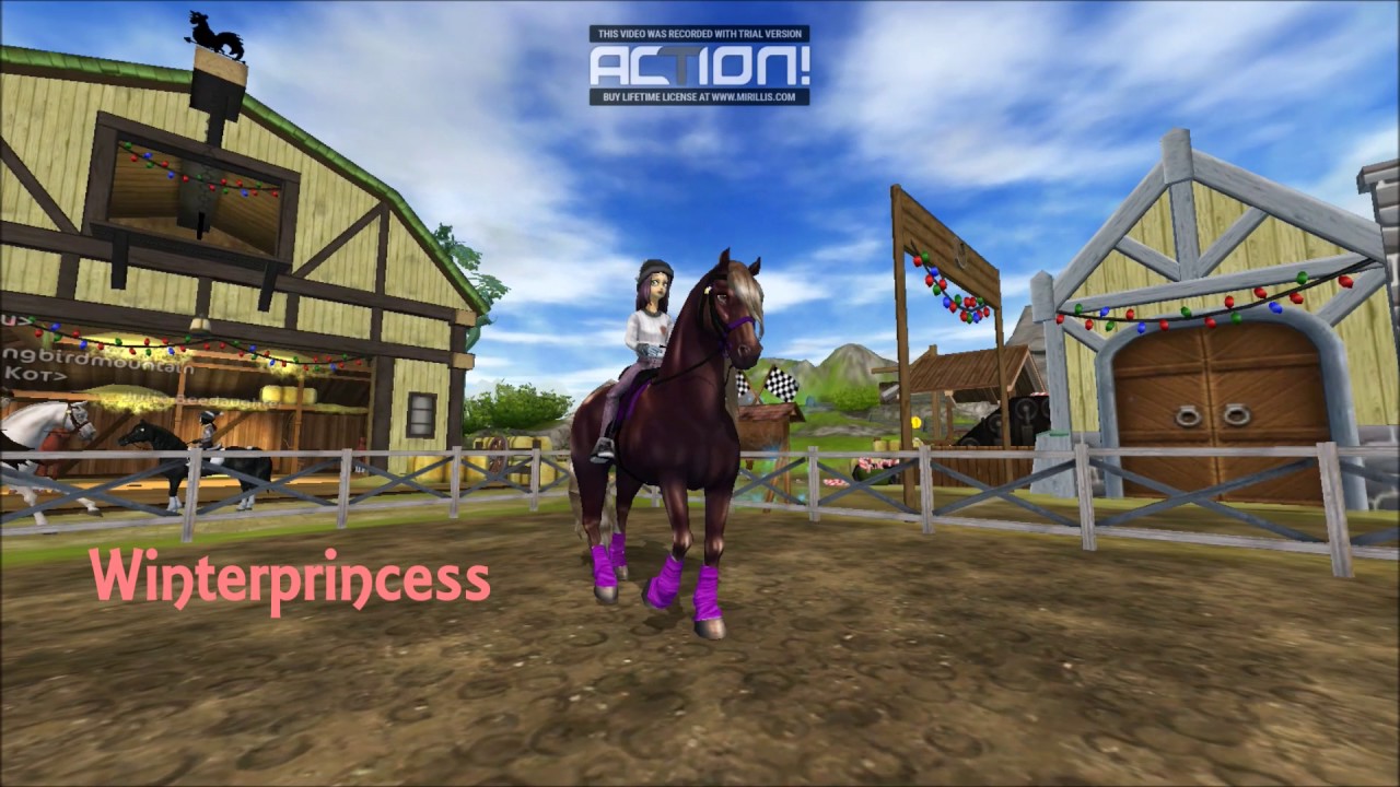 Sso My Horses 2017