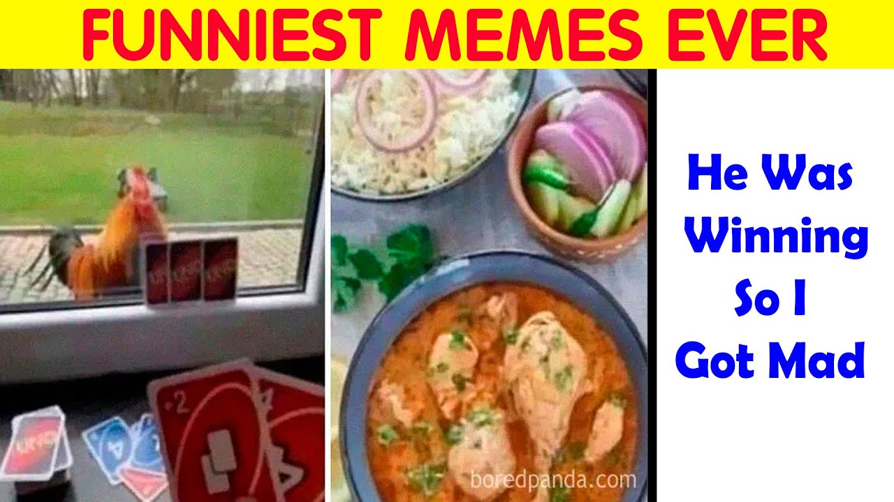 Memes That Have No Reason To Be This Funny