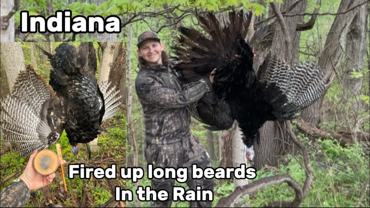 Self filmed Turkey Hunting Indiana (2025)