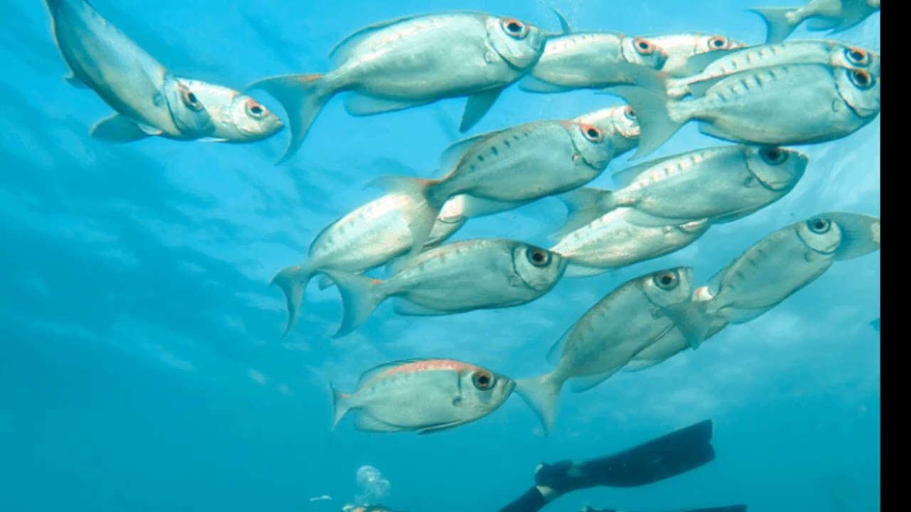 Discover Africa's Most Romantic Destinations: A Journey of Love and Adventure