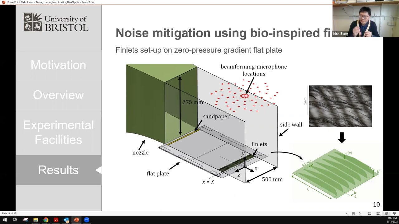 Aerodynamic Noise Control via Bio-Inspired Features