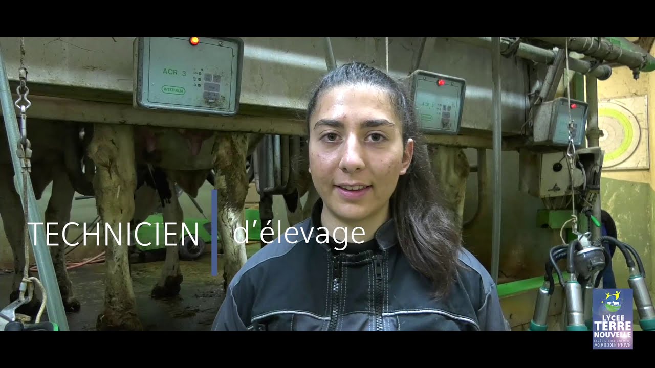 Le Brevet de Technicien Sup&eacute;rieur en PRODUCTIONS ANIMALES au lyc&eacute;e Agricole Terre Nouvelle