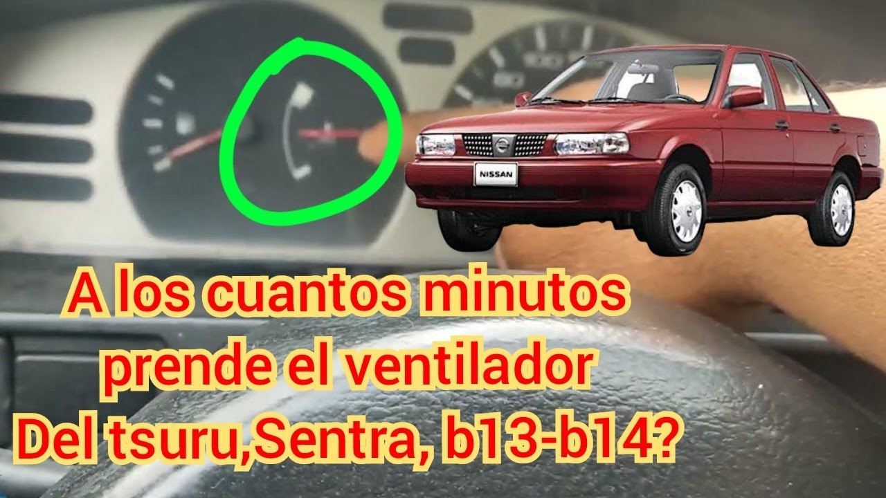 A los cuantos minutos prende el ventilador de Tsuru?