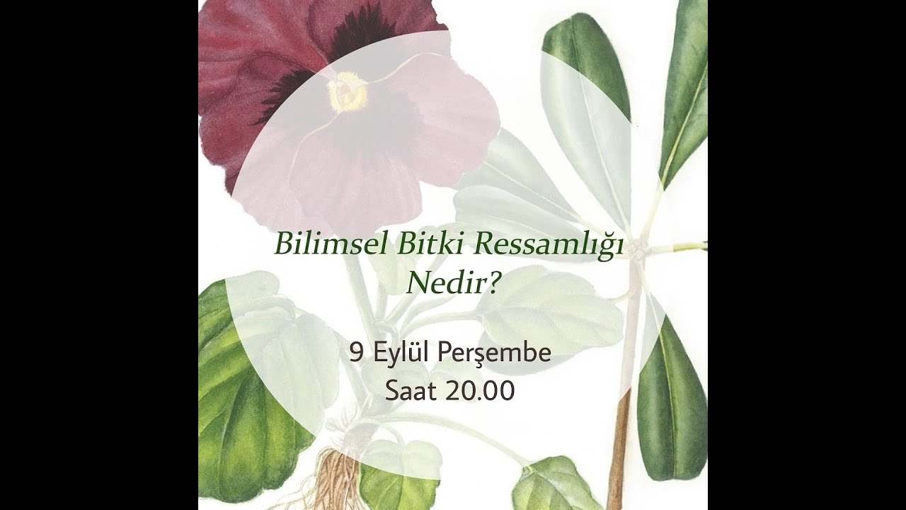 Bilimsel Bitki Ressamlığı Hakkında