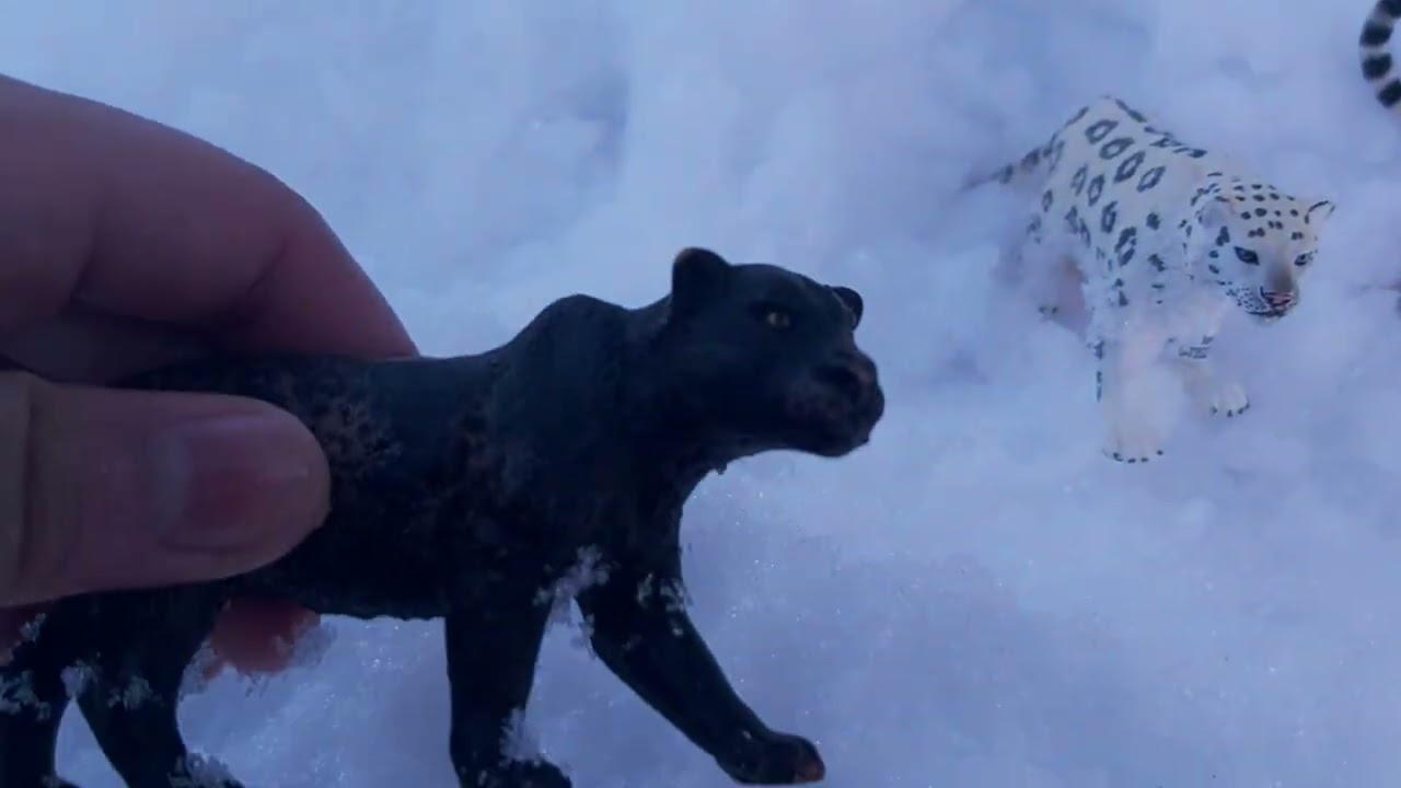  Freedom ( Schleich Big Cat Series Ep1
