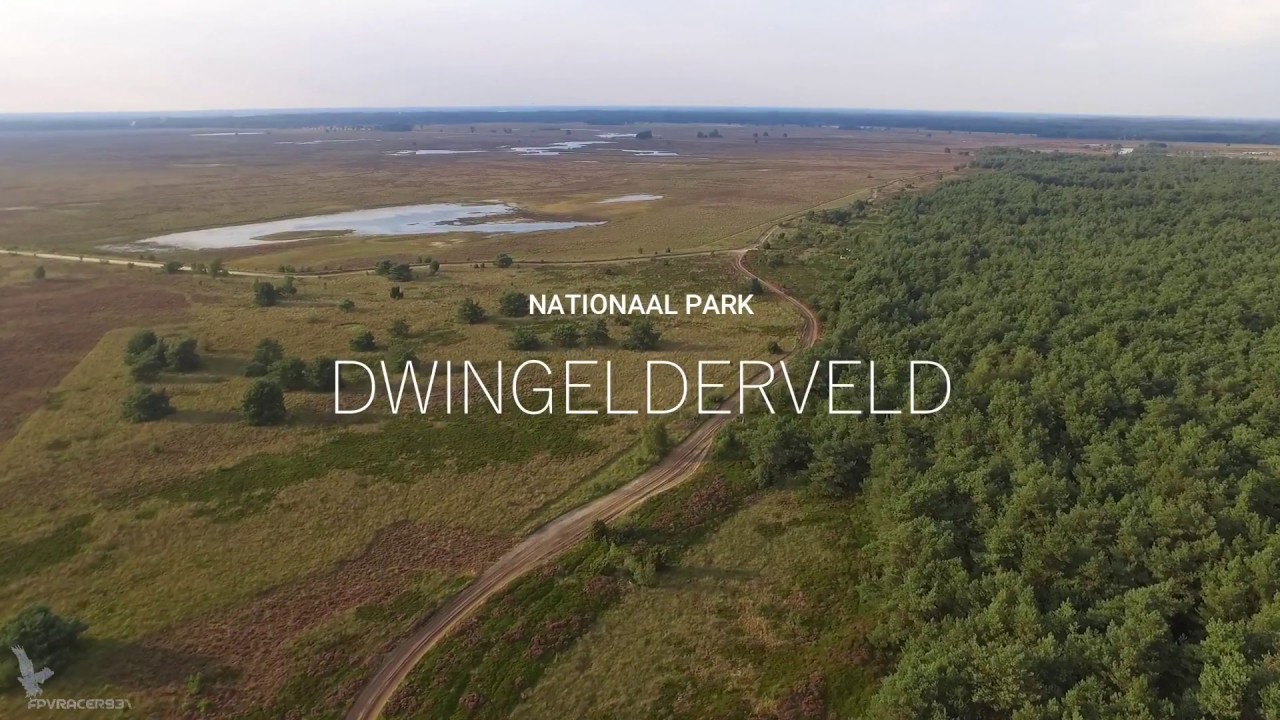 Nationaal Park: Dwingelderveld | Aerial Video