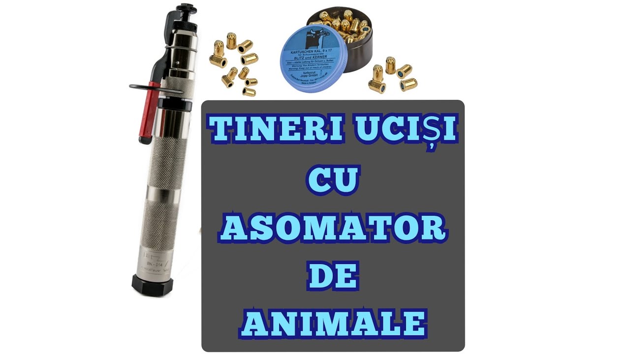 💥TINERI UCIȘI CU ASOMATOR DE ANIMALE ❌ Explicații juridice asomatoare 