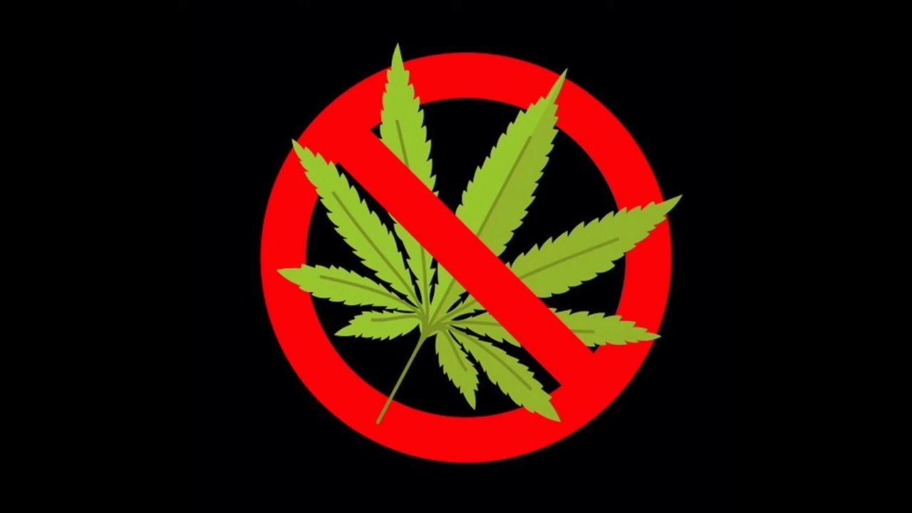 твж - пидоры