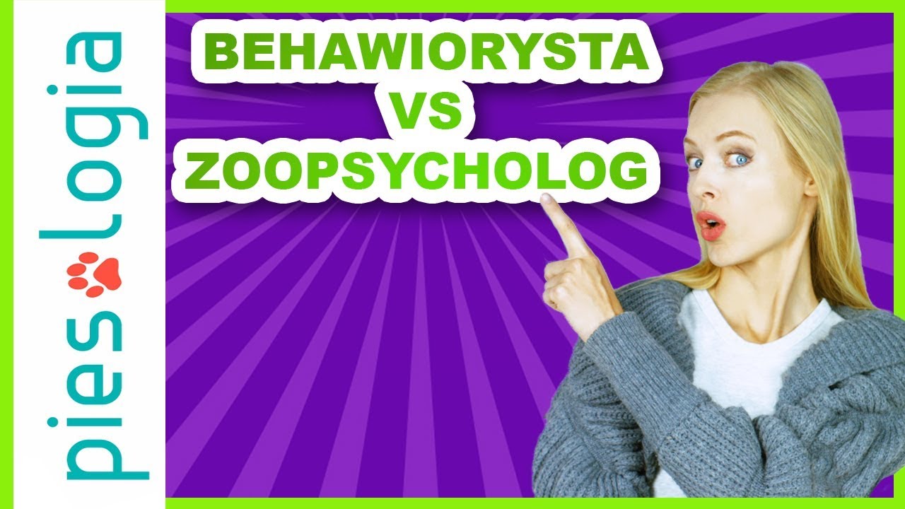 Czym zajmuje się treser ps&oacute;w, zoopsycholog i behawiorysta?
